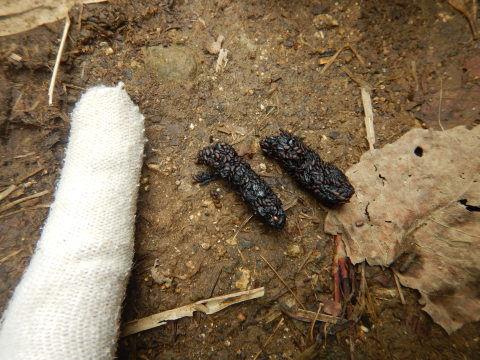 f0118332_23472395.jpg
