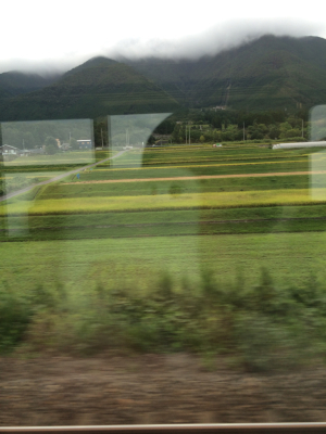 b0229636_17382800.jpg
