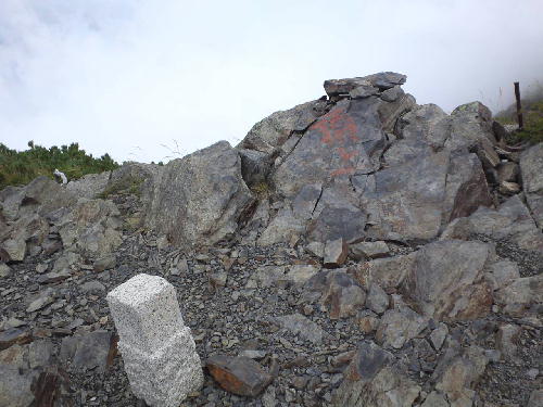 d0107938_10124583.jpg
