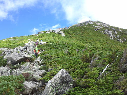 d0107938_9411215.jpg