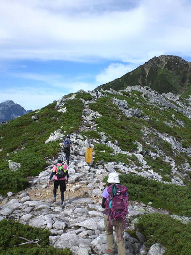 d0107938_94551100.jpg