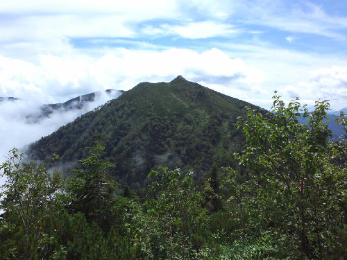 d0107938_9532046.jpg