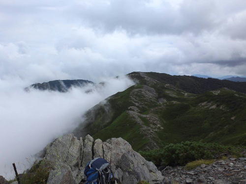 d0107938_956258.jpg