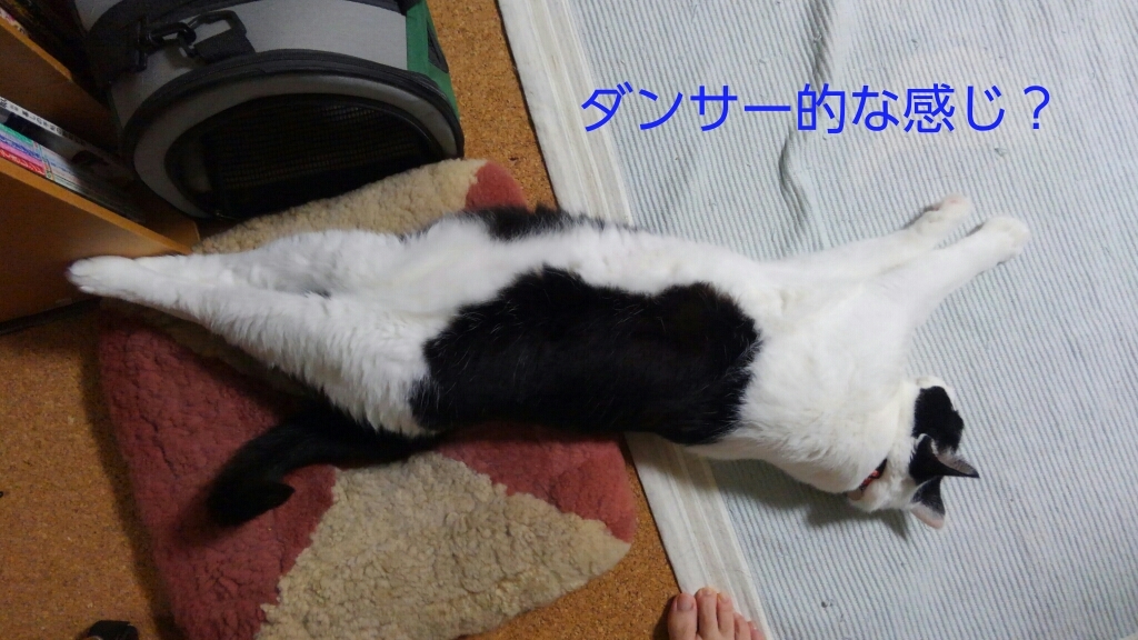 c0181639_00382502.jpg