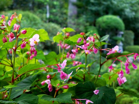 c0057946_21461819.jpg