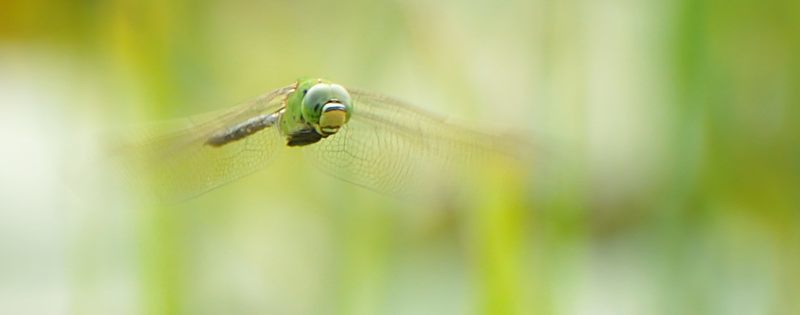 c0334250_15125714.jpg