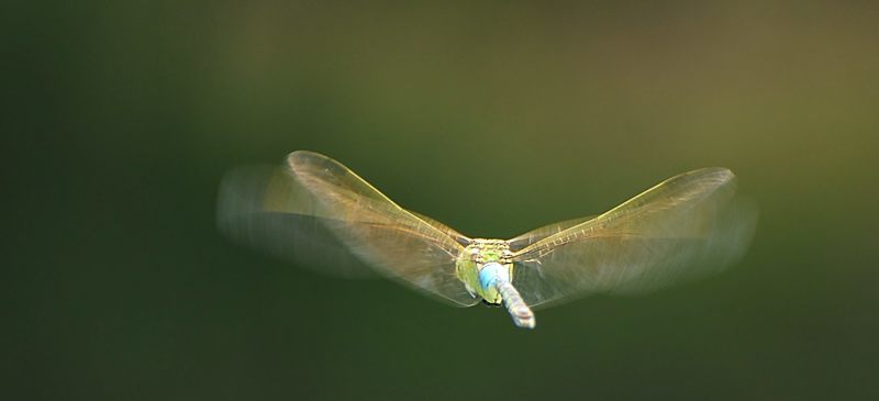 c0334250_15131042.jpg