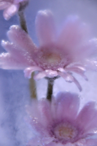 b0170969_23274261.jpg