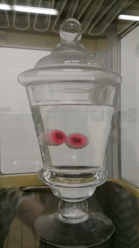 b0223370_09015792.jpg