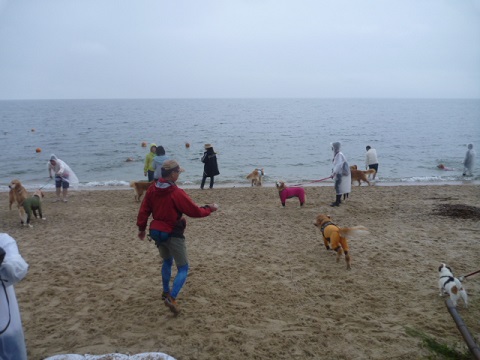 e0161972_8232830.jpg