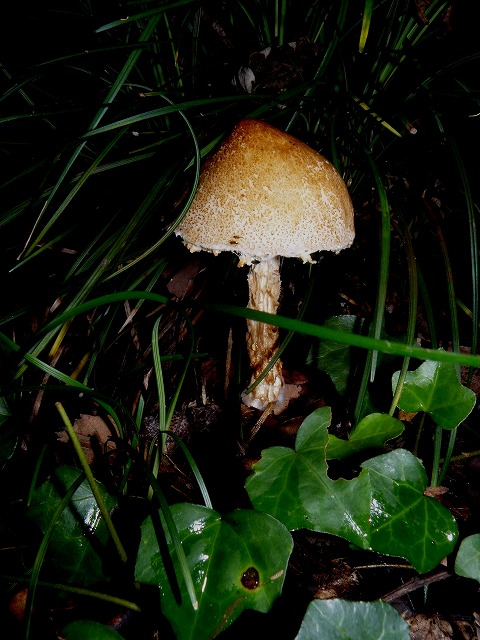d0019074_11644.jpg