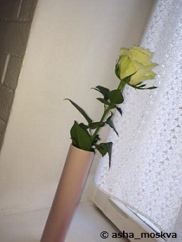 f0209878_01083903.jpg