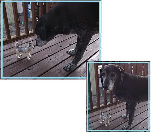 d0282395_2153131.png