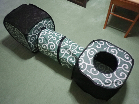 f0239100_20384060.jpg