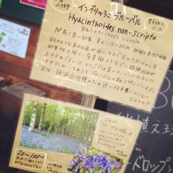 a0139007_20132516.jpg