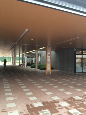 c0114121_0255292.jpg