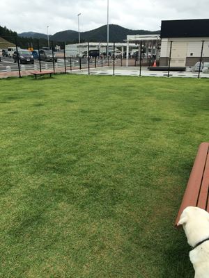 c0114121_038315.jpg