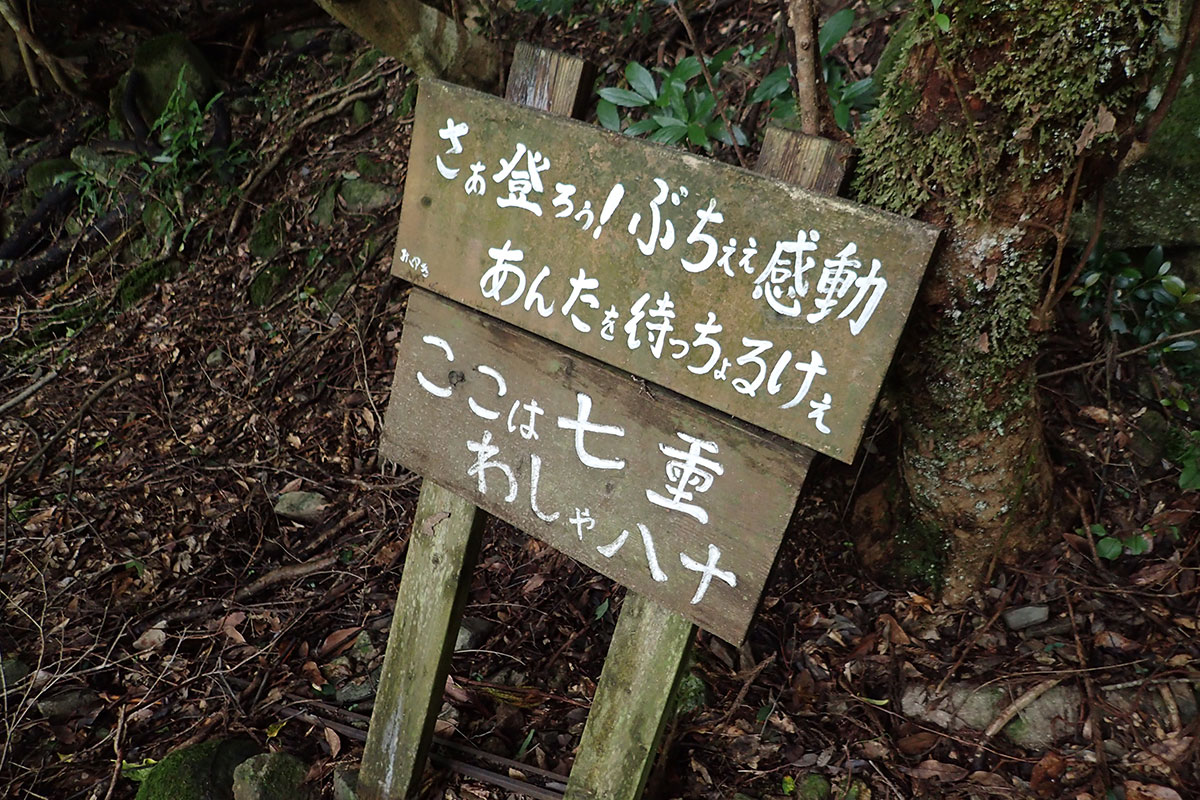 c0064025_1205759.jpg