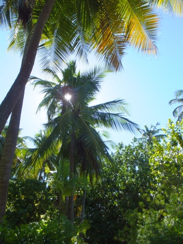 e0078326_05440895.jpg