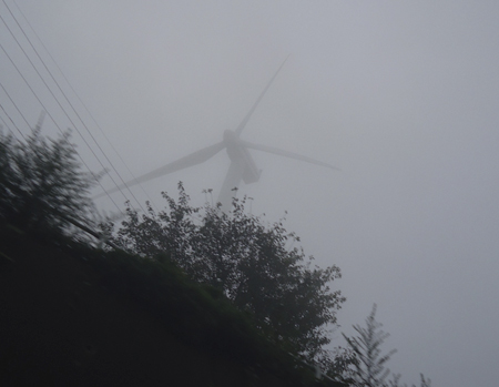 e0112226_1781419.jpg