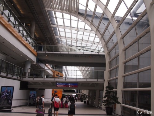 c0103830_1339435.jpg
