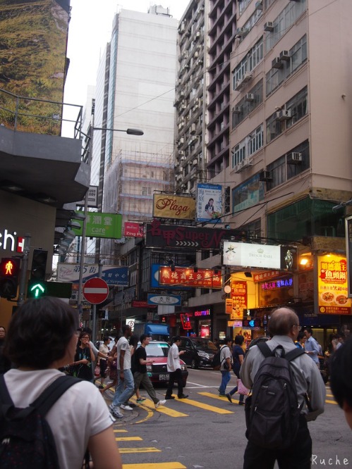 c0103830_1463598.jpg
