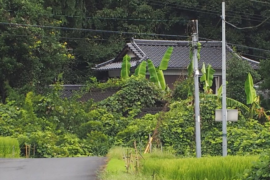 c0075539_213158.jpg