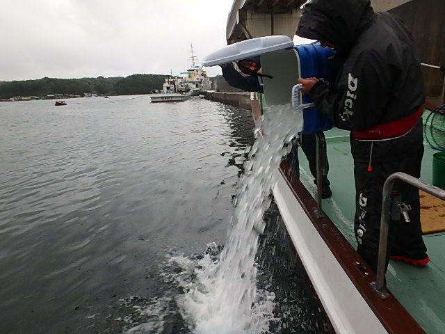 a0248152_981474.jpg