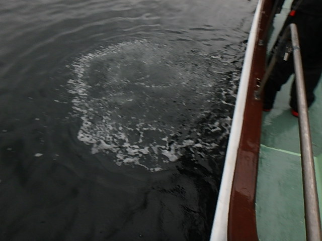 a0248152_994188.jpg