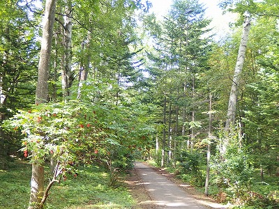 e0004756_20231333.jpg