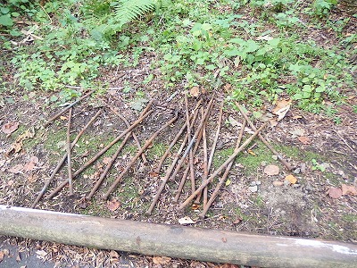 e0004756_20315390.jpg