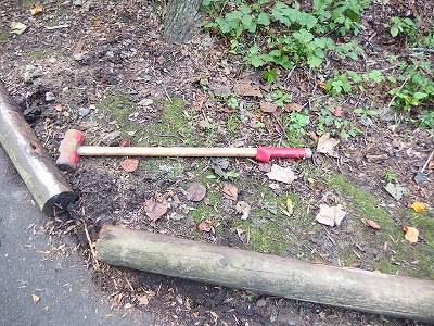 e0004756_20341683.jpg