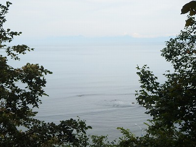 e0004756_21193496.jpg