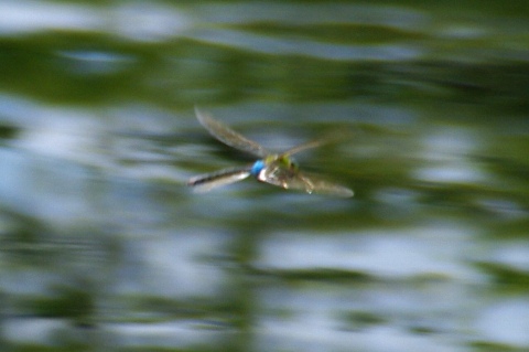 e0045768_21391351.jpg