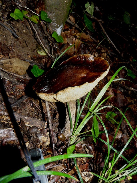 d0019074_9181613.jpg
