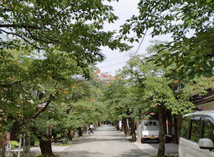 a0234877_22274944.jpg
