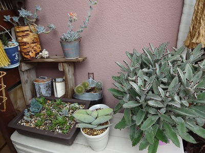 d0255078_917521.jpg