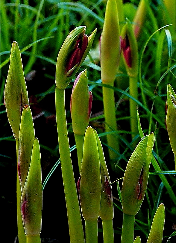 c0357781_13173211.jpg
