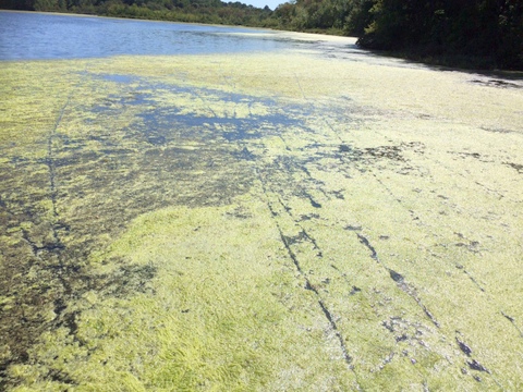 f0024887_2305830.jpg