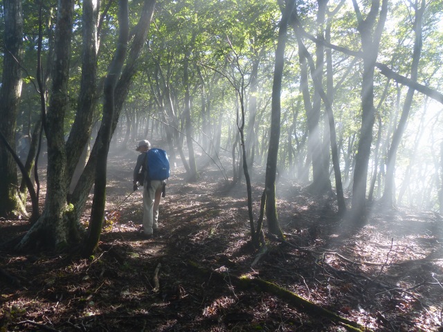 f0357487_23291444.jpg