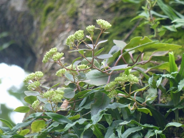 f0357487_23475033.jpg