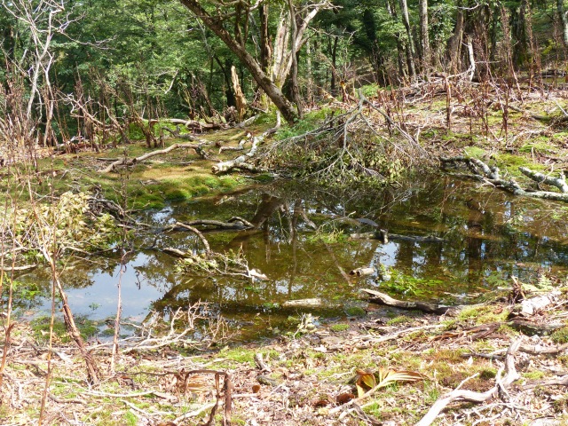 f0357487_2351364.jpg