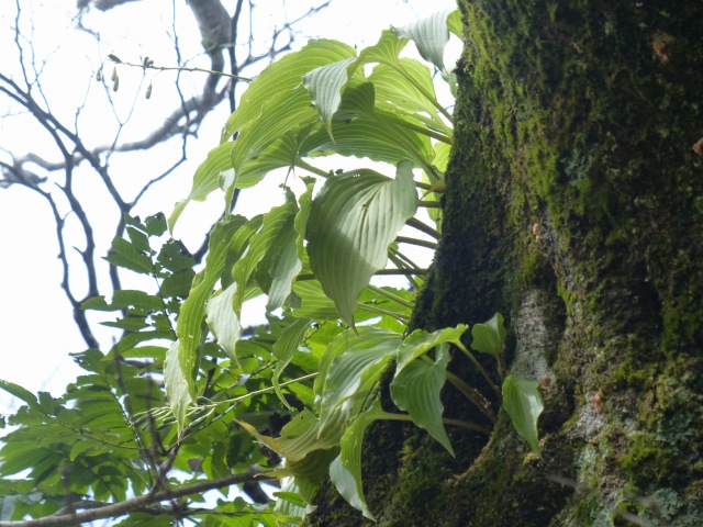 f0357487_2352267.jpg