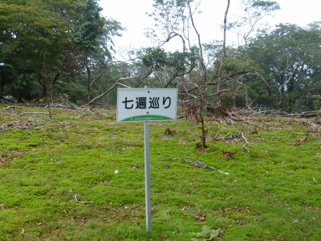 f0357487_23565683.jpg