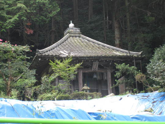 f0010195_9594686.jpg