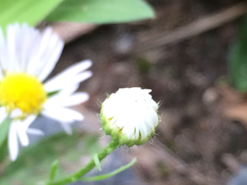 c0208099_23331332.jpg