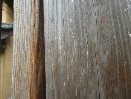 a0236300_2283510.jpg