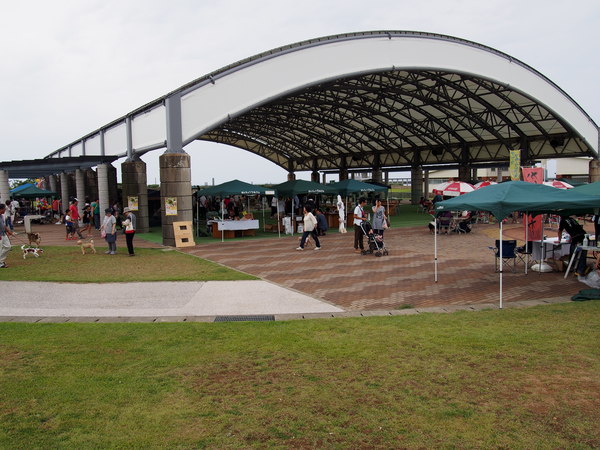 d0293002_12475931.jpg