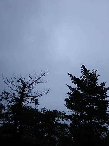 e0347508_7551124.jpg