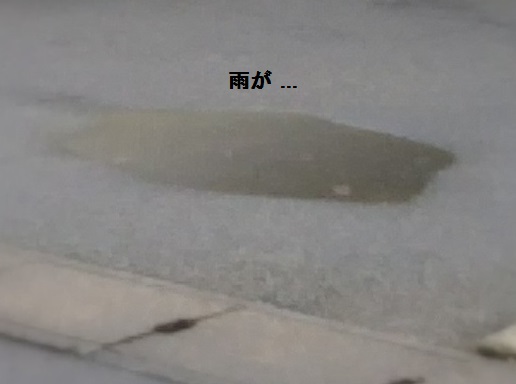 e0347508_7551942.jpg